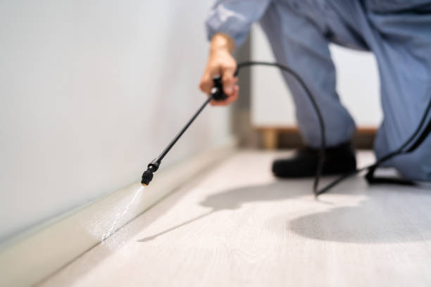 Licensed Bed Bug Control service in Ferndale, CA - Nex Pest Control