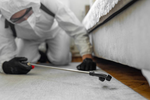 Professional Bed Bug Control technician working in Ferndale, CA