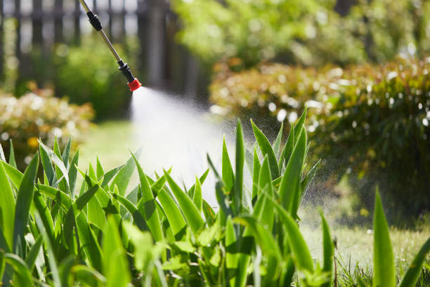 24/7 Emergency Bed Bug Control experts in Ferndale, CA