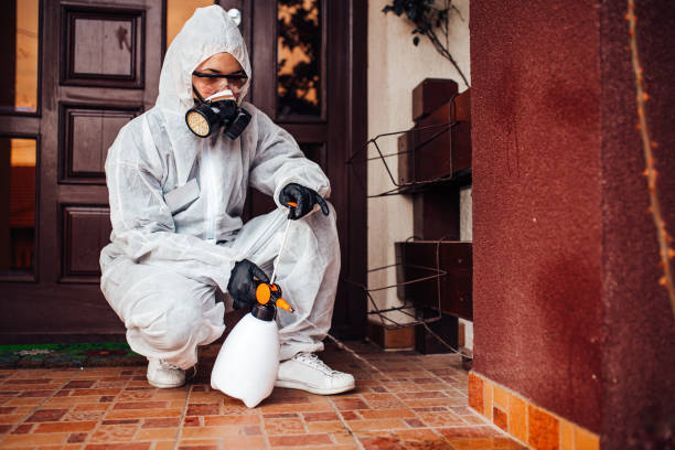 Reliable Bed Bug Control contractor in Ferndale, CA by Nex Pest Control