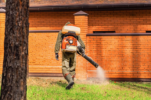 Trusted Fumigation Services service in Ferndale, CA - Nex Pest Control